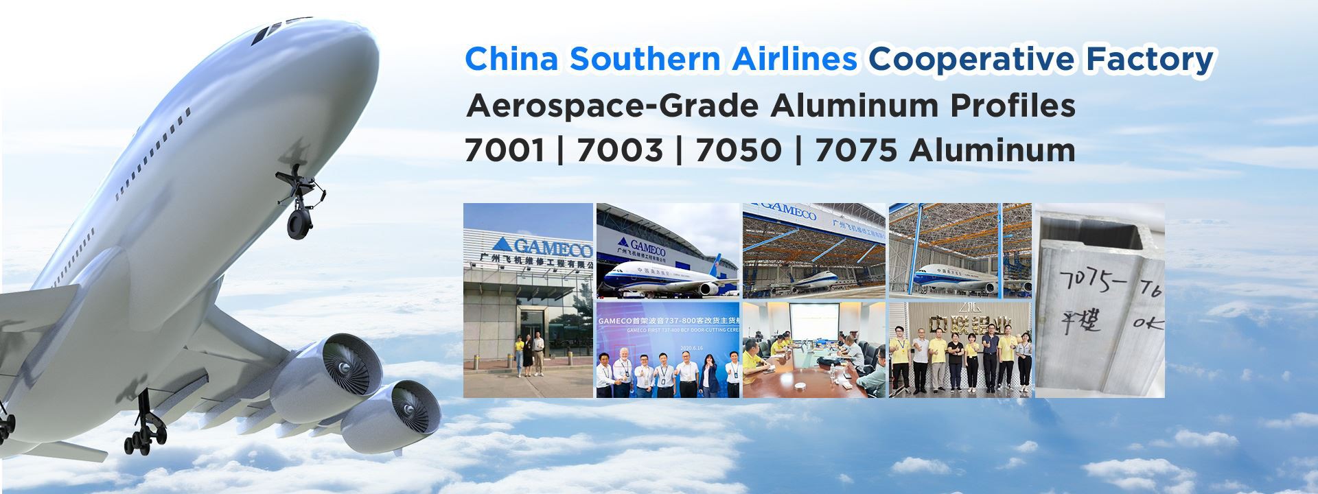 Customization Aluminum Profile